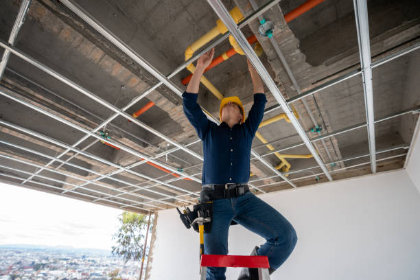 Best Emergency Plumbing Repair  in Brookdale, SC