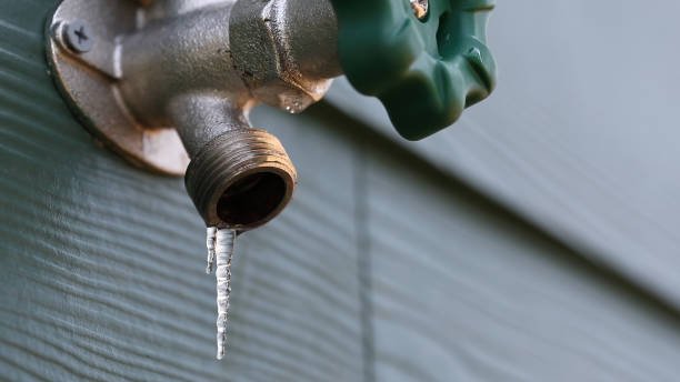 Best Plumbing Repair Near Me  in Brookdale, SC